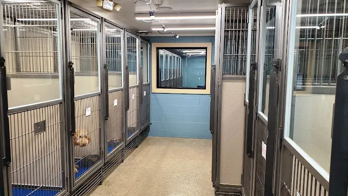 Northgate Animal Hospital 7
