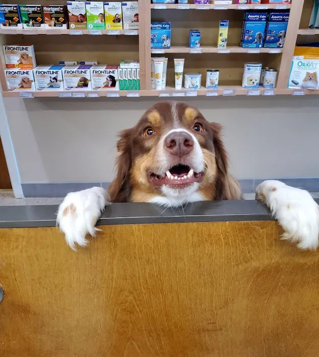 Northgate Animal Hospital 6