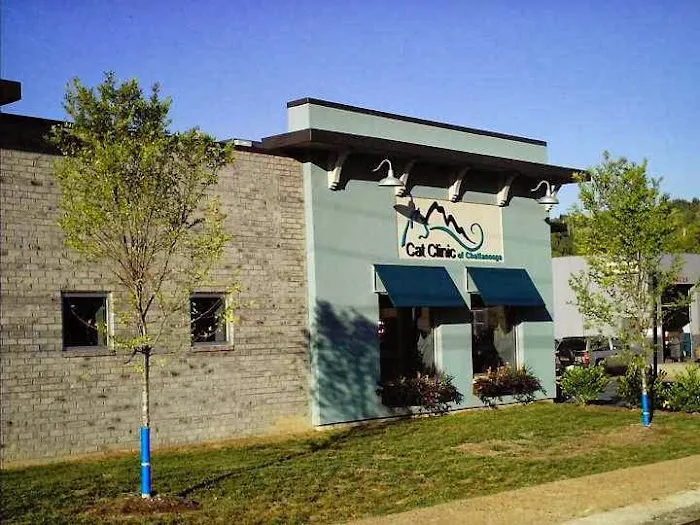 Cat Clinic of Chattanooga 1