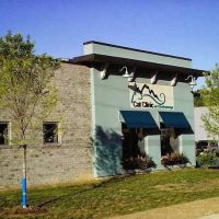 Cat Clinic of Chattanooga ico