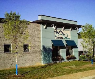 Cat Clinic of Chattanooga