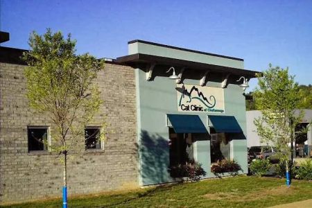 Cat Clinic of Chattanooga