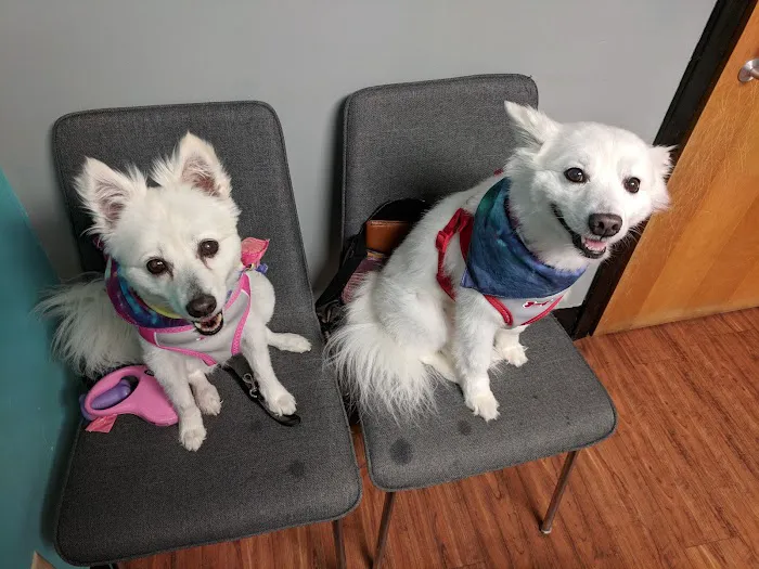 Lee Parkway Veterinary Clinic 12