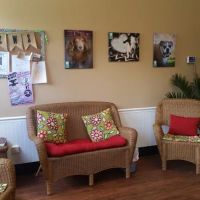 Lee Parkway Veterinary Clinic ico