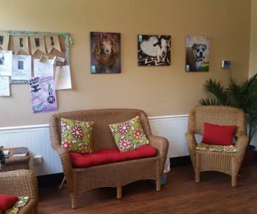 Lee Parkway Veterinary Clinic