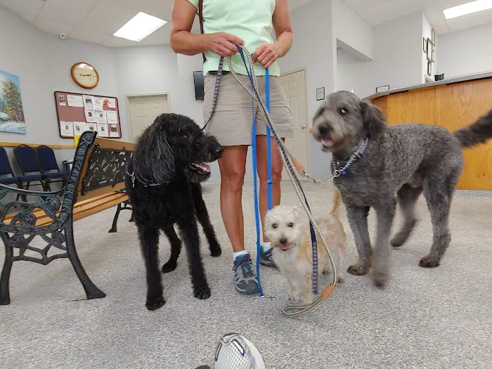 Highway 58 Animal Hospital 12