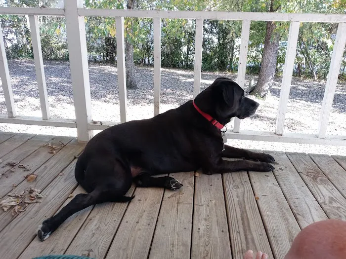 Chickamauga Veterinary Clinic 7