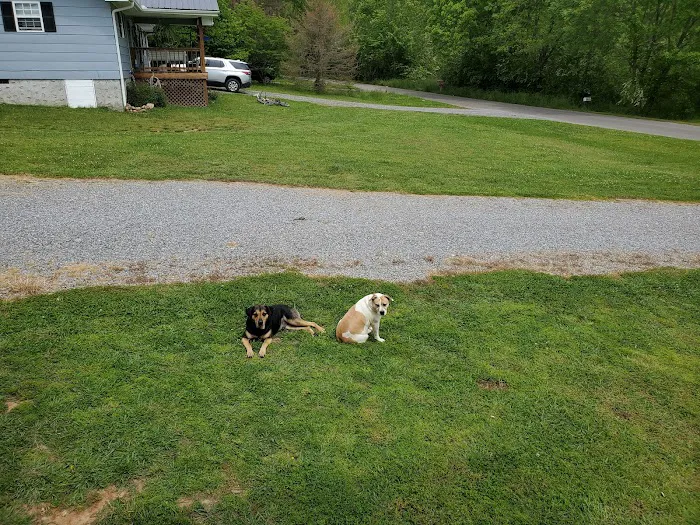 Animal Hospital of Signal Mountain 12