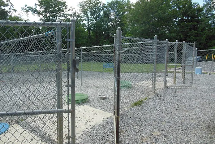 Animal Hospital of Signal Mountain 12
