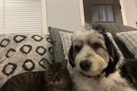 Fort Oglethorpe Pet Wellness Center