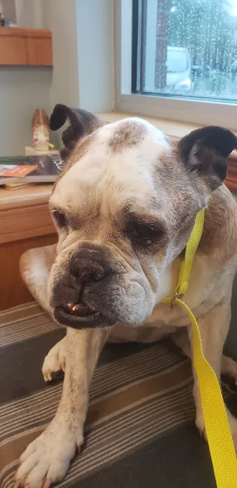 Animal Clinic East 6