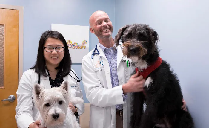Animal Clinic East 4
