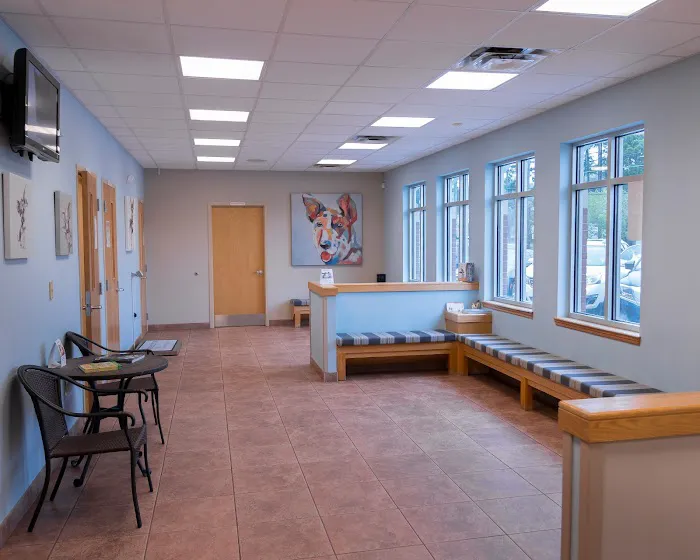 Animal Clinic East 8