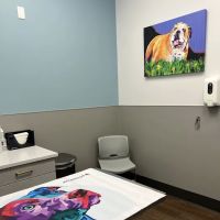 PetMedic Urgent Care Vet Clinic Chattanooga ico