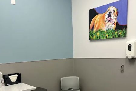 PetMedic Urgent Care Vet Clinic Chattanooga