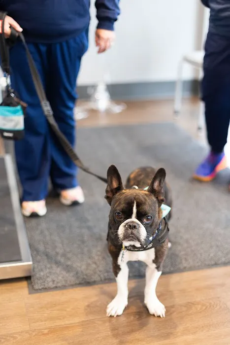 PetMedic Urgent Care Vet Clinic Chattanooga 12