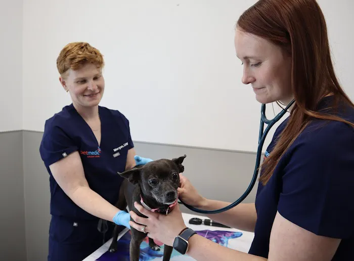 PetMedic Urgent Care Vet Clinic Chattanooga 12