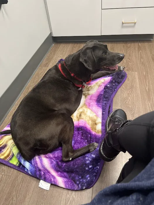 PetMedic Urgent Care Vet Clinic Chattanooga 12