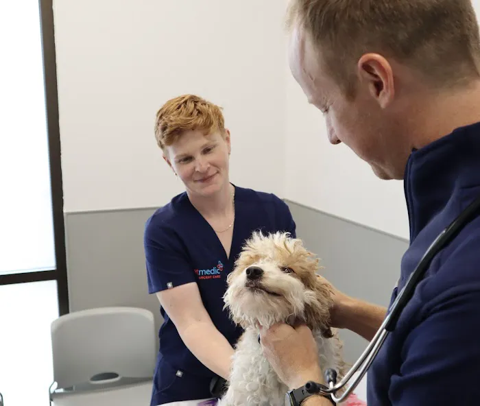 PetMedic Urgent Care Vet Clinic Chattanooga 12
