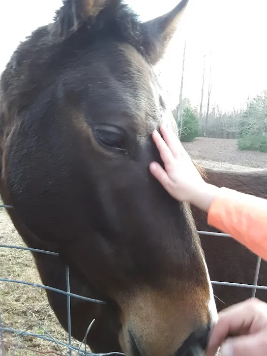 Crossroads Equine Veterinary Services, LLC 2