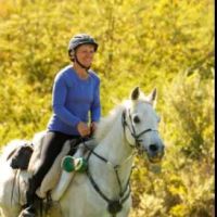 Crossroads Equine Veterinary Services, LLC ico