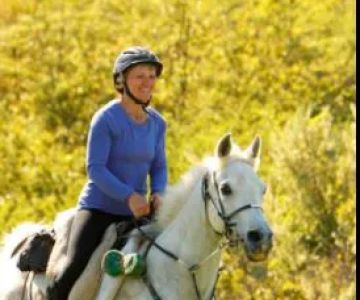 Crossroads Equine Veterinary Services, LLC