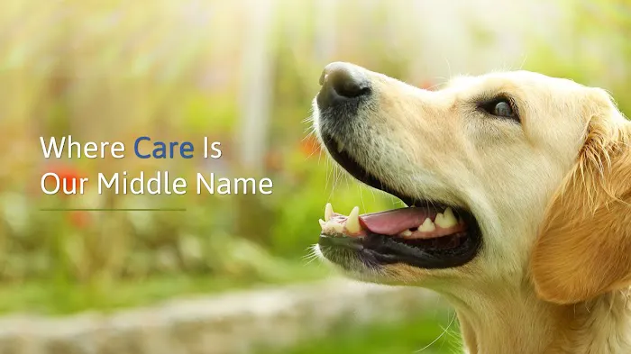 The Animal Care Center Of Ooltewah 1