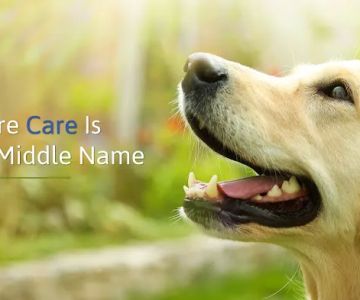 The Animal Care Center Of Ooltewah