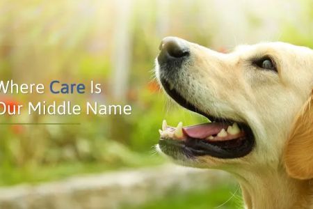 The Animal Care Center Of Ooltewah