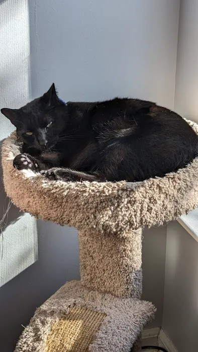 Banfield Pet Hospital 4