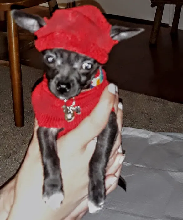 Banfield Pet Hospital 7