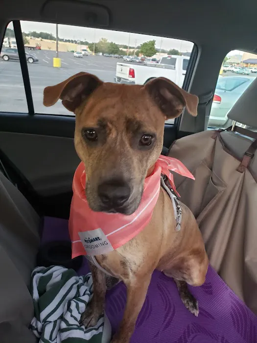 Banfield Pet Hospital 8