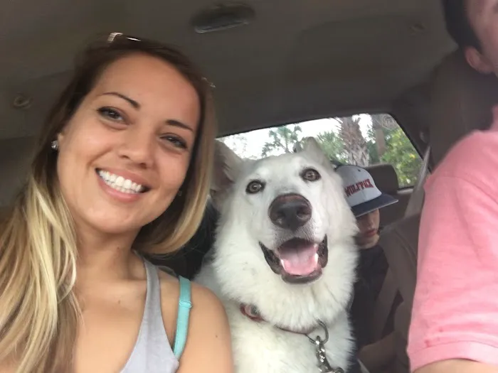 Cornerstone Veterinary Service 5