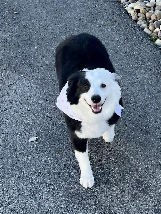 Red Bank Animal Hospital 4