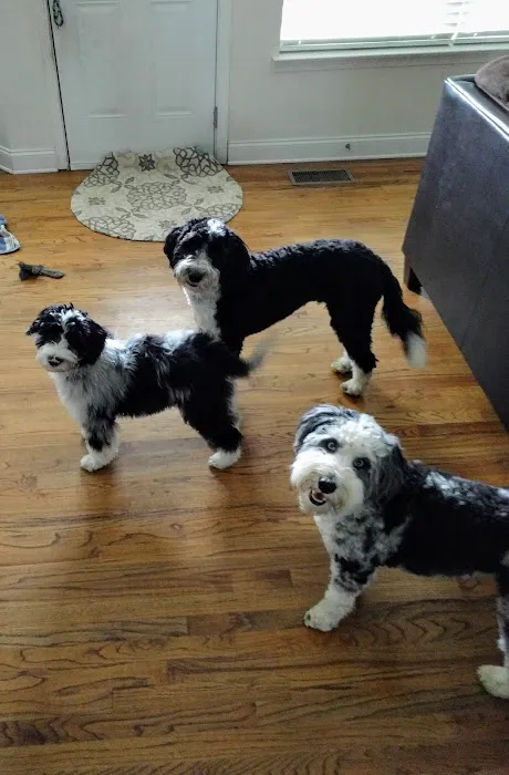 Red Bank Animal Hospital 9