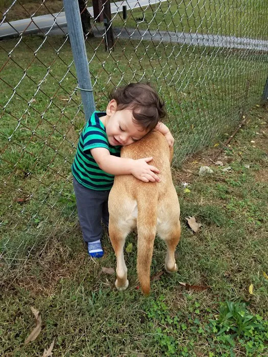 Red Bank Animal Hospital 10