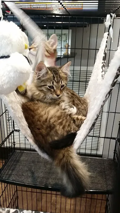 Middle Valley Animal Hospital 12