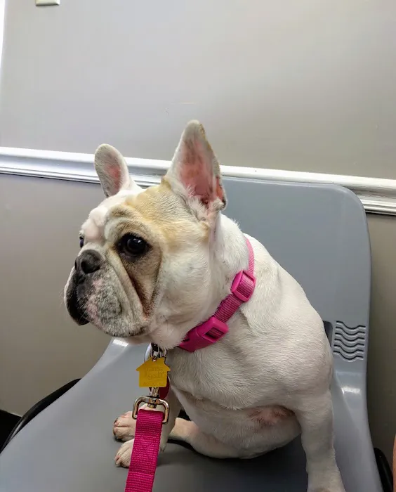 Middle Valley Animal Hospital 12