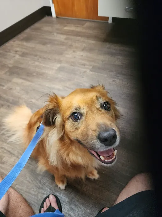 Middle Valley Animal Hospital 12