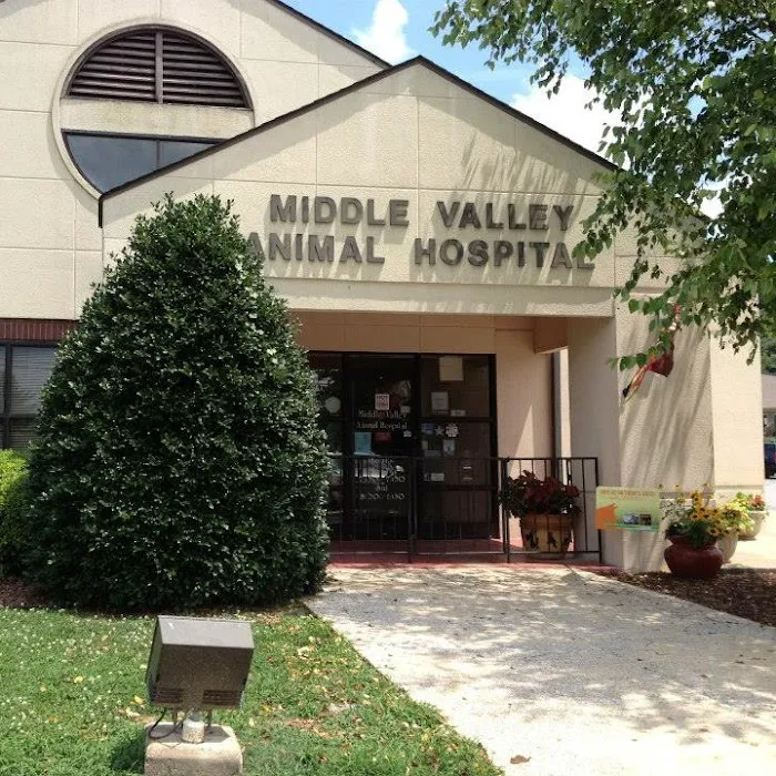 Middle Valley Animal Hospital 12