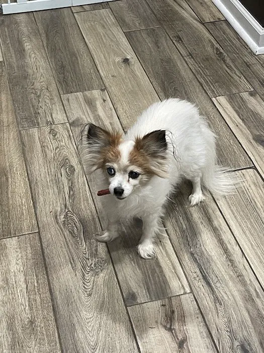 Hixson Pet Wellness Center 2