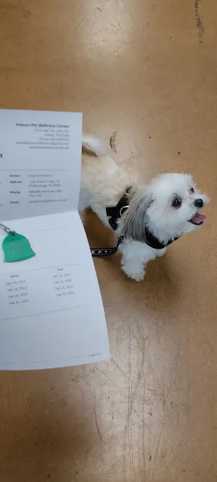 Hixson Pet Wellness Center 6