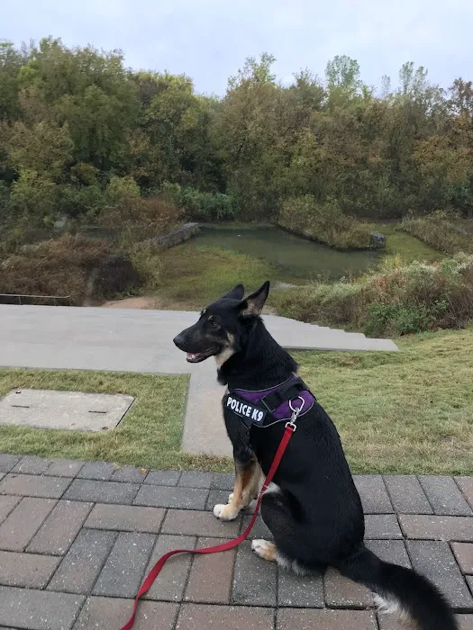 VCA Catoosa Animal Hospital 1