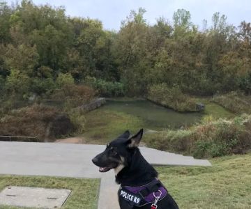 VCA Catoosa Animal Hospital