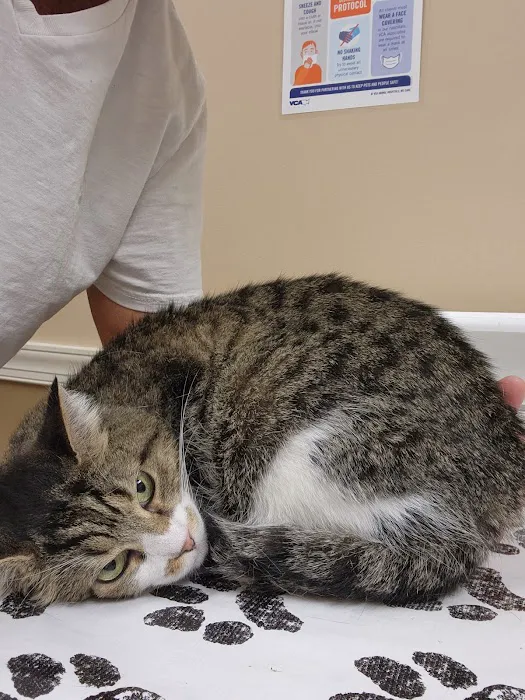 VCA Catoosa Animal Hospital 3