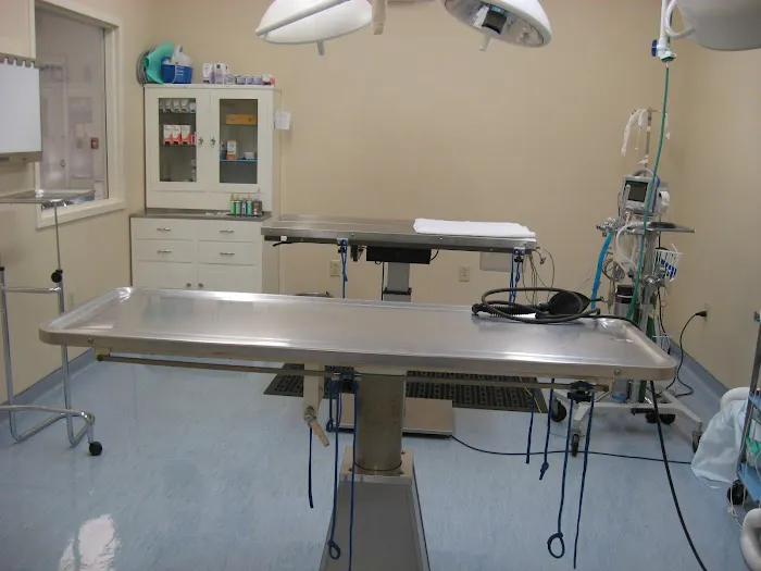 VCA Catoosa Animal Hospital 8
