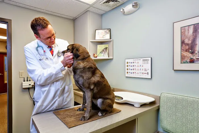 Shallowford Animal Hospital 12