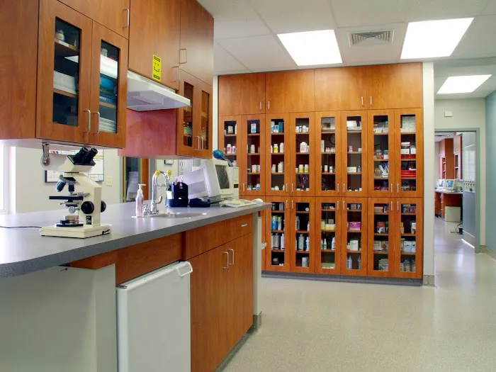 Shallowford Animal Hospital 12