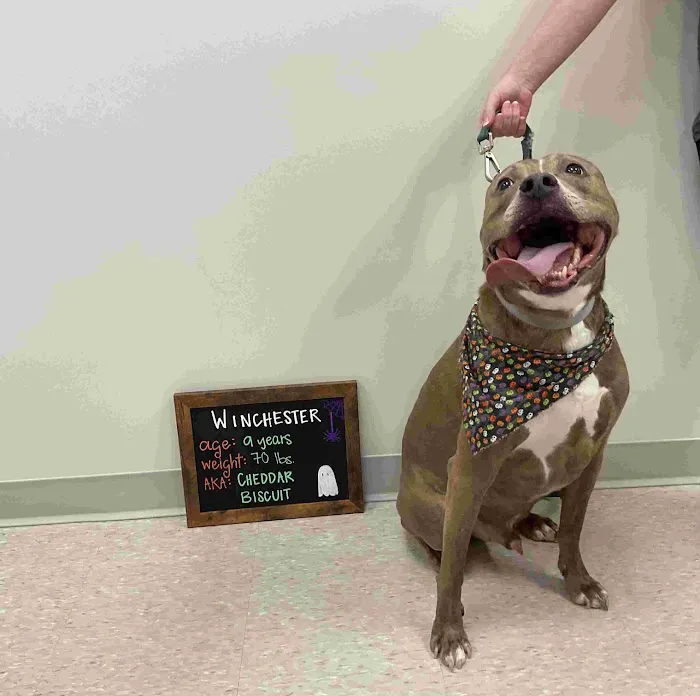 Highland Veterinary Center 9