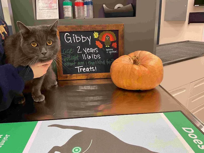 Highland Veterinary Center 1